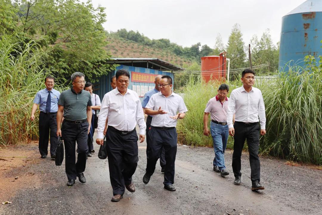 芳草地澳门免费资料大全2025,警惕虚假宣传、全面解答、时代解答解释落实